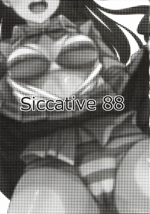 Siccative 88 Page #2