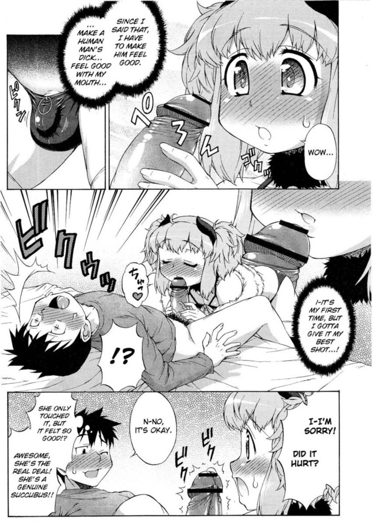 Succubus no Oshigoto