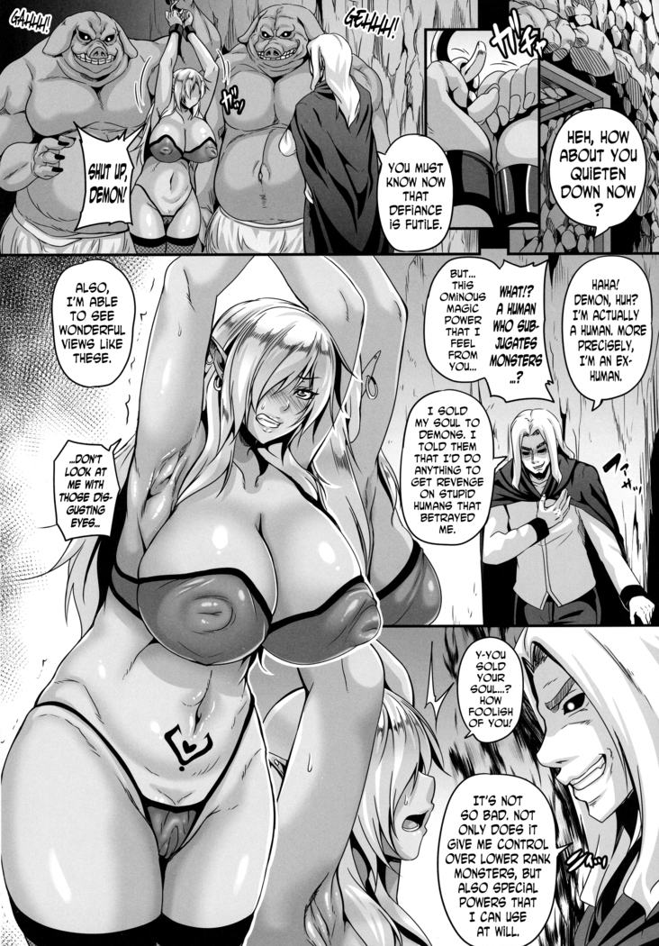 Reishuu no Dark Elf