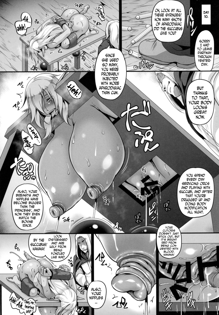 Reishuu no Dark Elf