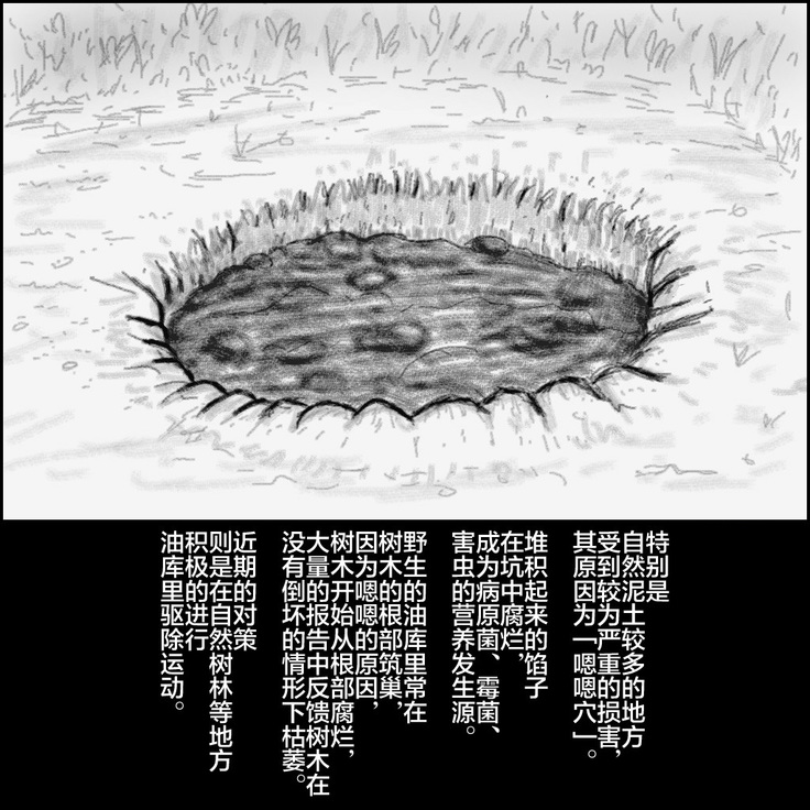 大姊姊与油库里（半生不熟汉化组）
