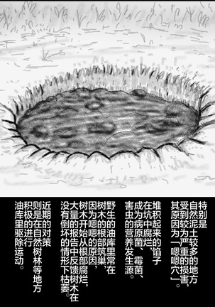 大姊姊与油库里（半生不熟汉化组） Page #16