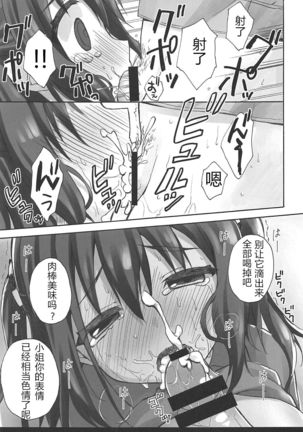 Ebina Ijiri R