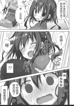 Ebina Ijiri R