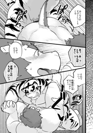 柘榴田さんは虎をご所望です Page #15