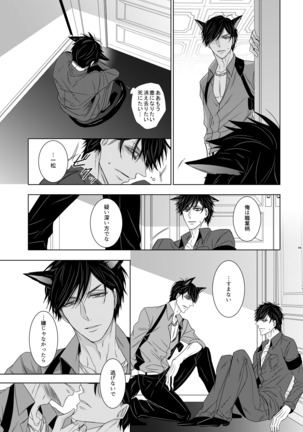 ウルフエフェクター - Page 23