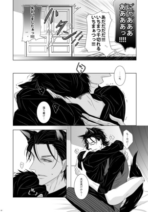 ウルフエフェクター - Page 26