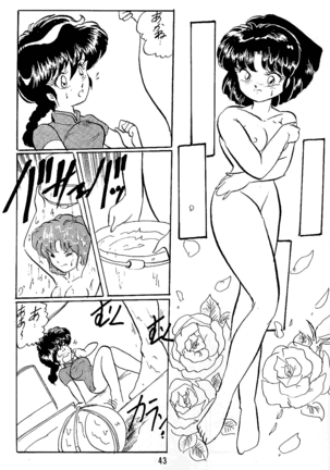 Ranma no Manma 5 - Page 43