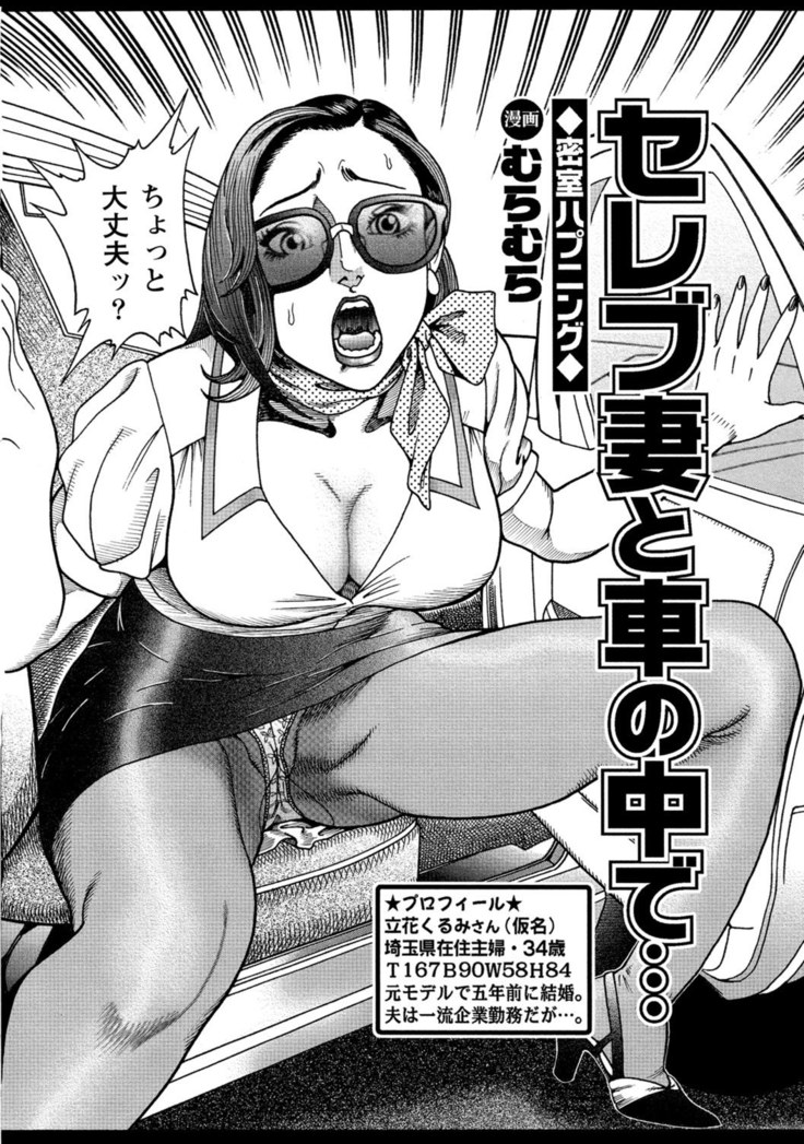 Jitsuroku Bikei Shirouto Bijin Zuma Inran Nikki