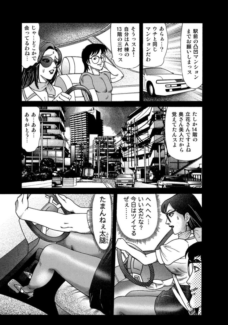 Jitsuroku Bikei Shirouto Bijin Zuma Inran Nikki