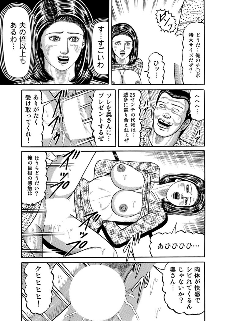 Jitsuroku Bikei Shirouto Bijin Zuma Inran Nikki