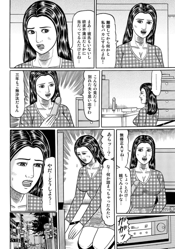 Jitsuroku Bikei Shirouto Bijin Zuma Inran Nikki
