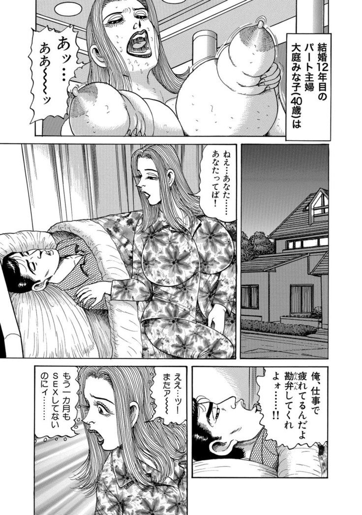 Jitsuroku Bikei Shirouto Bijin Zuma Inran Nikki
