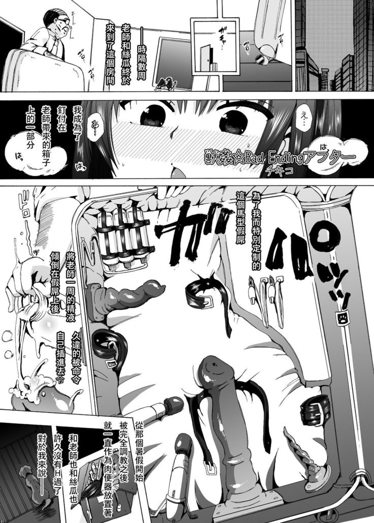 Hechima no Usui Hon