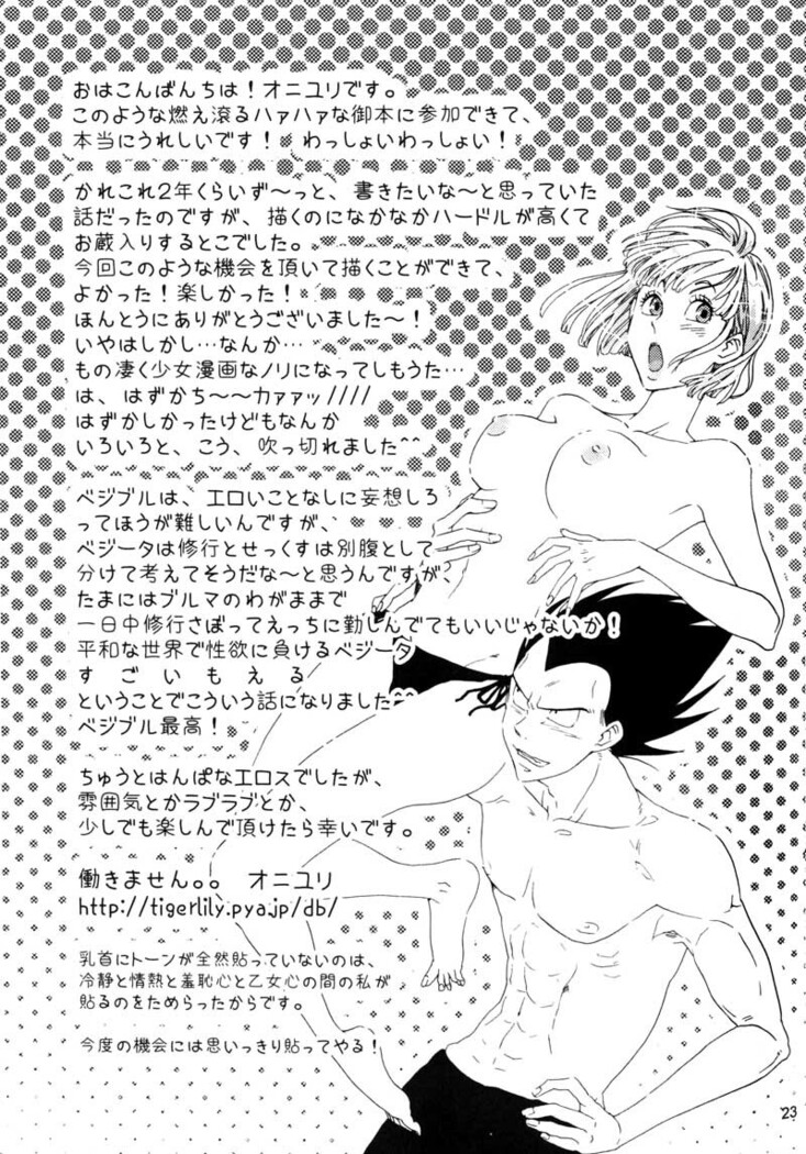 Bulma's OVERDRIVE!