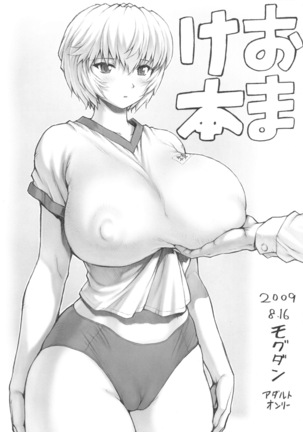 Ayanami Vol.2 Omake Hon Page #1