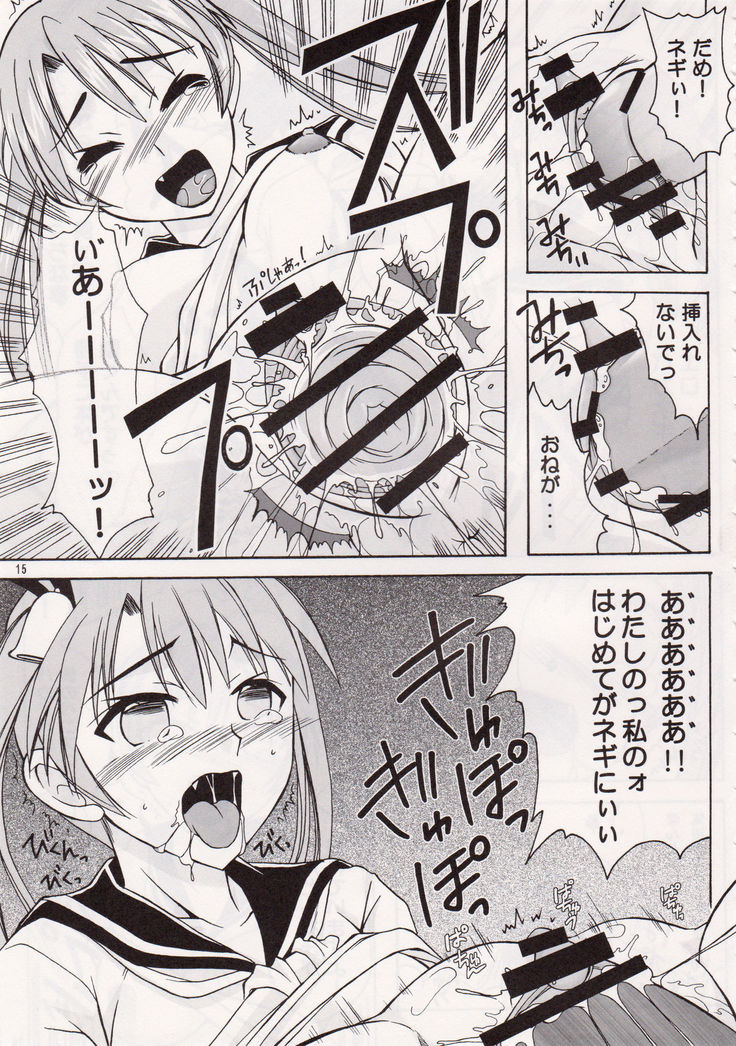 <<ネギま!>> ふしぎなネギま! / ひじょうぐち