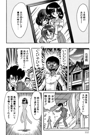 精霊特捜フェアリィセイバー EX - Page 111