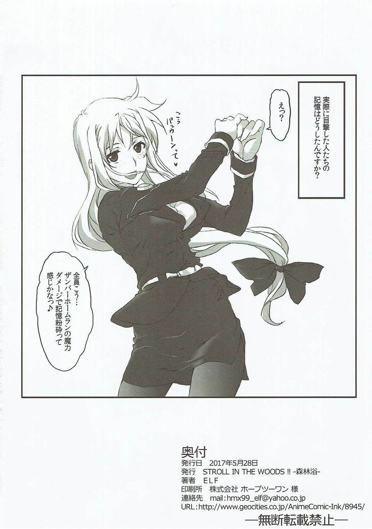 Nanoha-san o Chikan shitakatta to Shitsumukan wa Kyoujutsu shiteori.