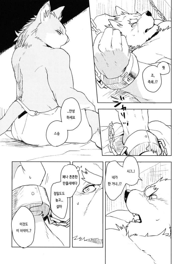 HAMMER KNOCK