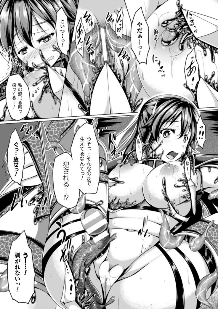 Seigi no Heroine Kangoku File Vol. 9