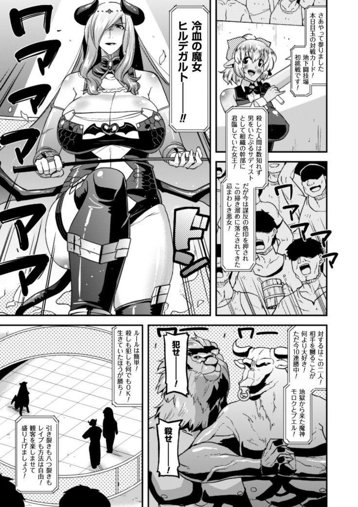 Seigi no Heroine Kangoku File Vol. 9