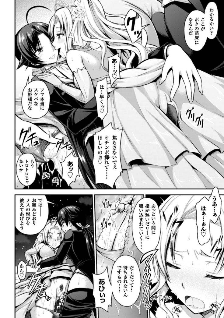 Seigi no Heroine Kangoku File Vol. 9