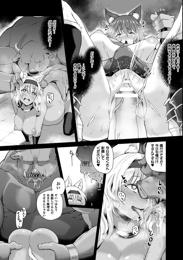 Seigi no Heroine Kangoku File Vol. 9