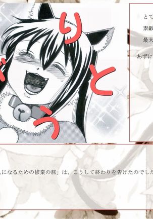 RTKBOOK 10-5 「けい○ん!いぢり 『猫耳あ○にゃんの冒険日記』第五話「あ○にゃんと大魔王!」」 Page #379