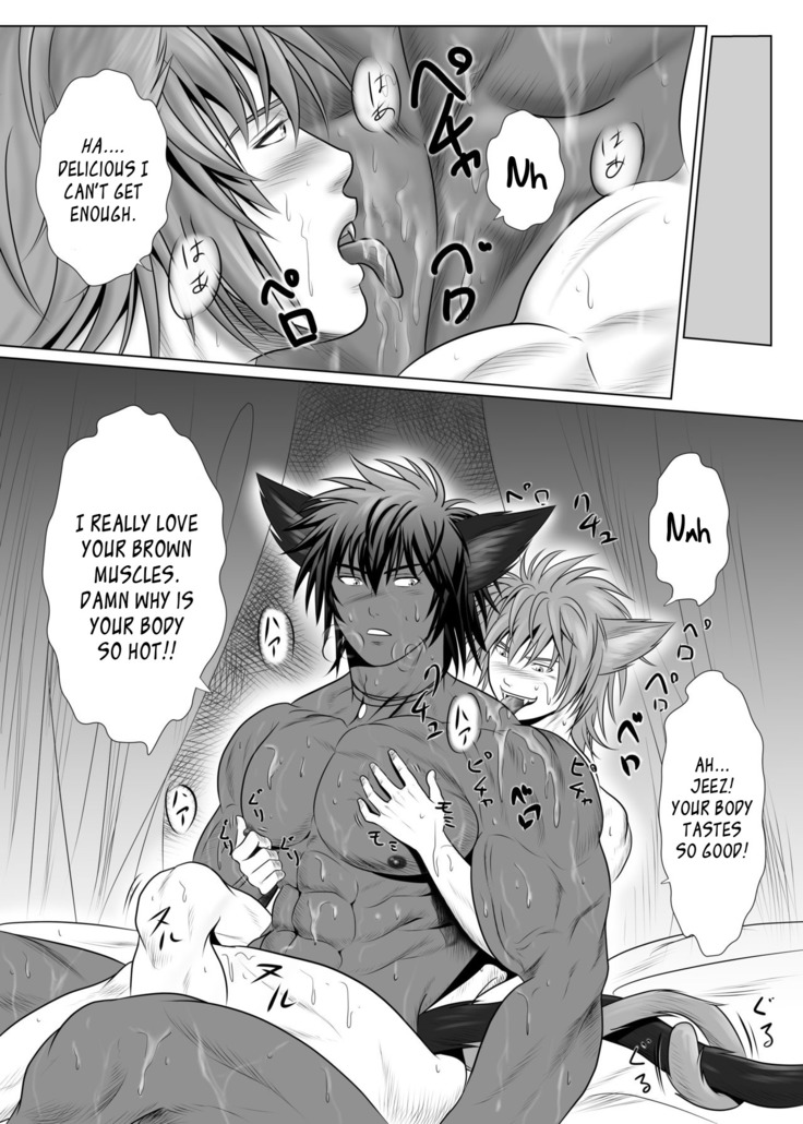 Vanilla Lynx, Tri Edge