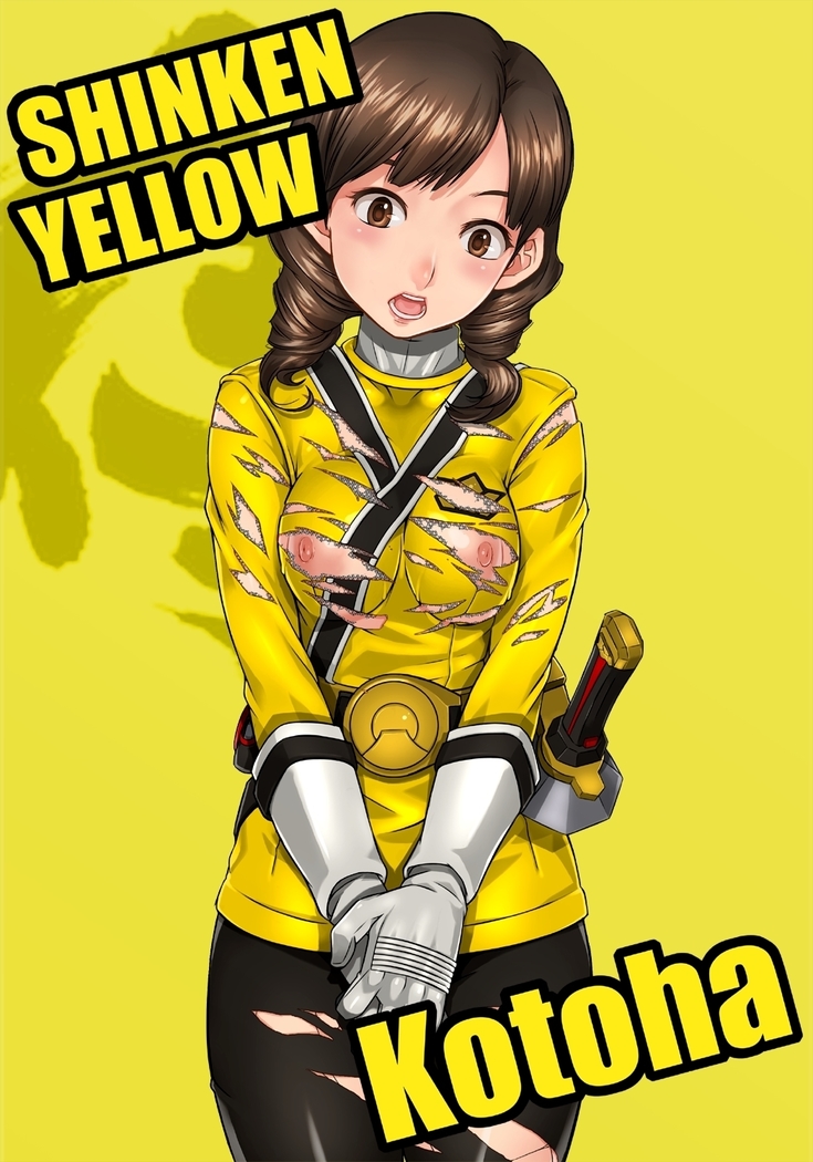 RANGER HEROINES 3