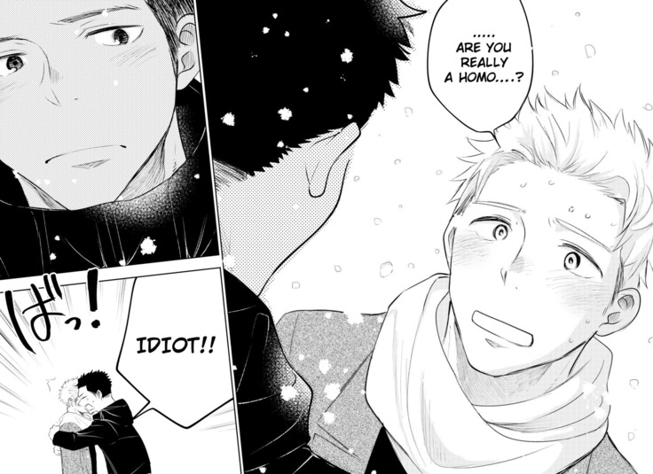 Honto ni Homo na no?