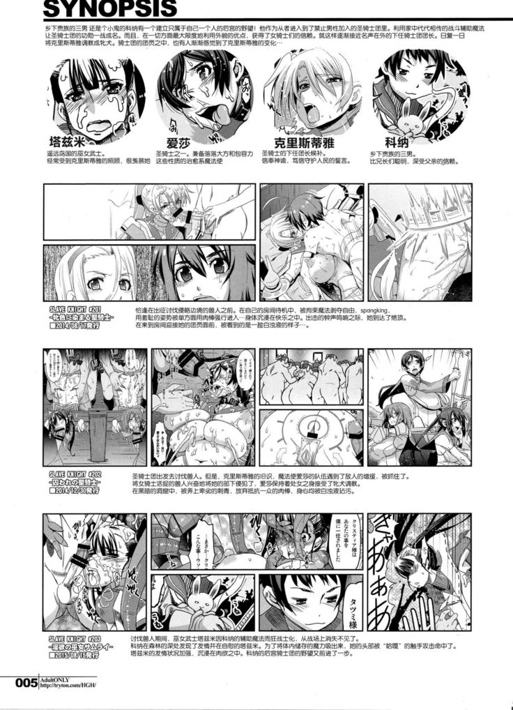 スレイヴナイト#204～奪われた聖騎士～