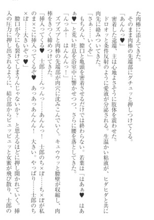 僕の主はトロ顔お嬢様 Page #219
