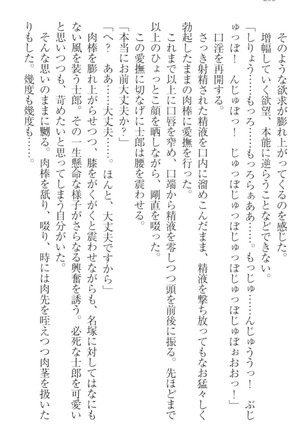 僕の主はトロ顔お嬢様 Page #246