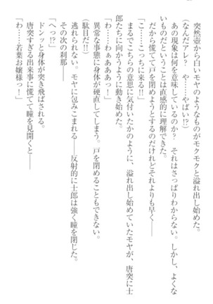 僕の主はトロ顔お嬢様 Page #38
