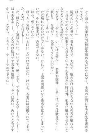 僕の主はトロ顔お嬢様 Page #211