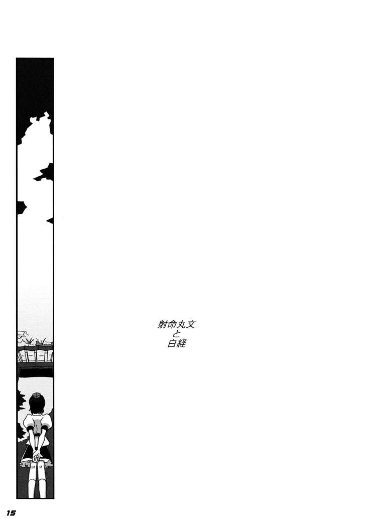 TOHO N+ 109/14