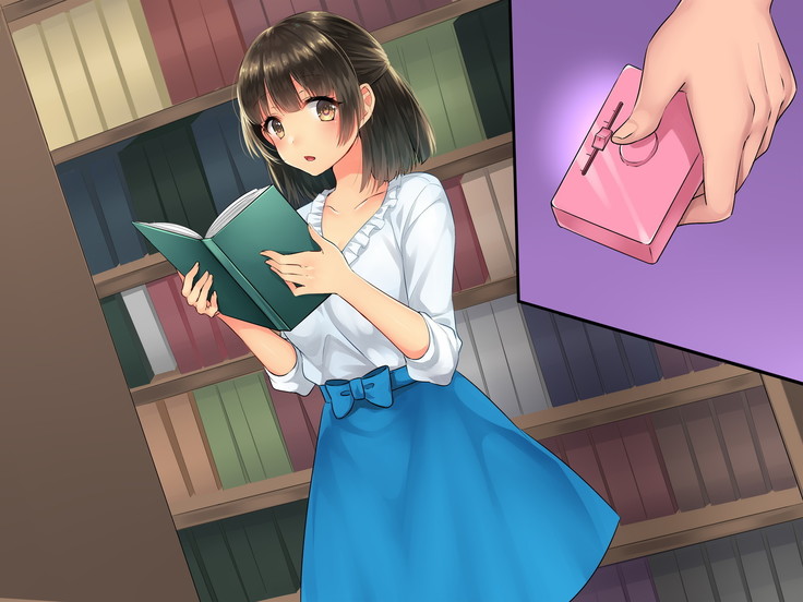 Adult Goods Tanchiki ~Machi no Inran Onna o Research Seyo~
