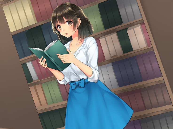 Adult Goods Tanchiki ~Machi no Inran Onna o Research Seyo~
