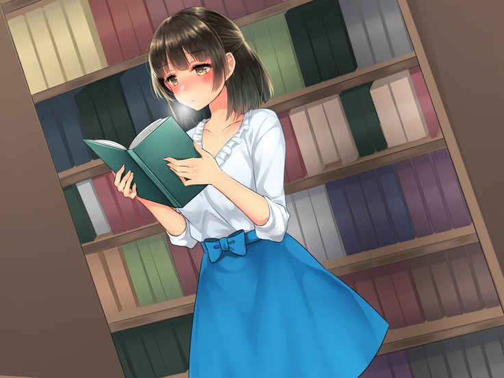 Adult Goods Tanchiki ~Machi no Inran Onna o Research Seyo~