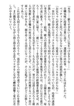 妹とあまいちゃ！ Page #220