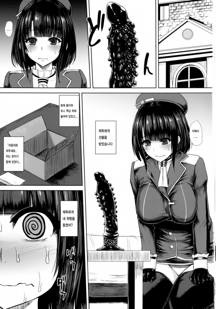 Watashi wa "Kore" o Oshiri ni Iremashita.