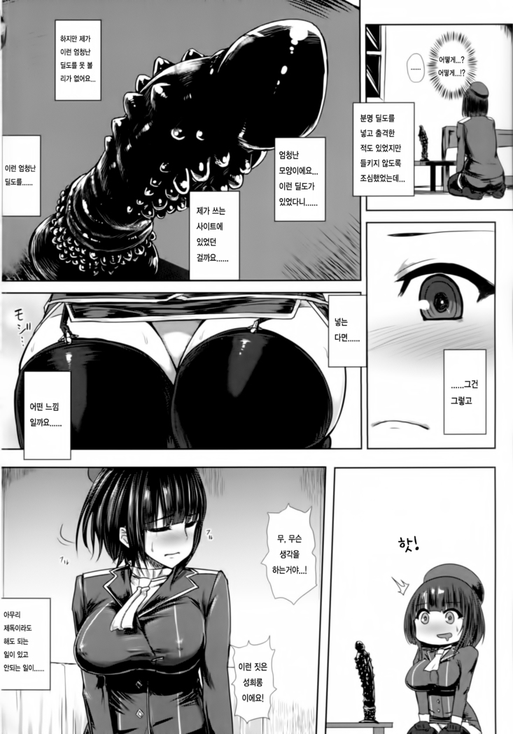Watashi wa "Kore" o Oshiri ni Iremashita.
