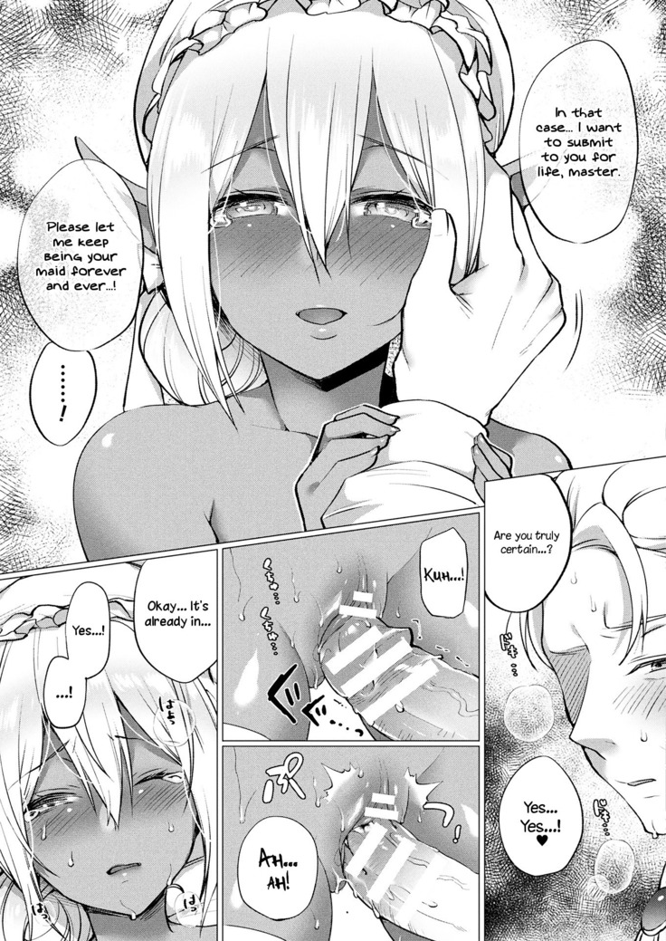 Dark Elf no Koi Monogatari | Love Story Of A Dark Elf