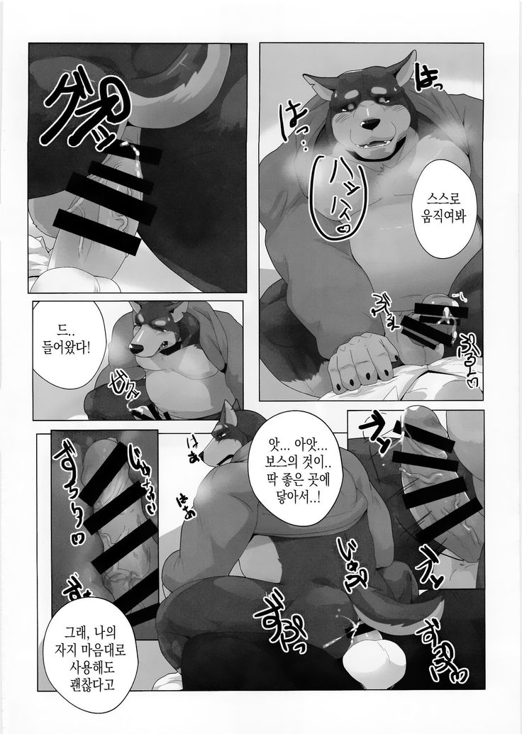 Tokyo Maison 201・202・203