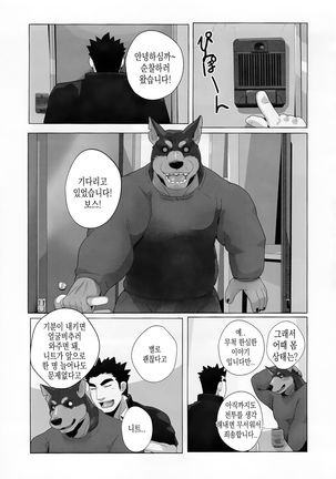 Image 4382933