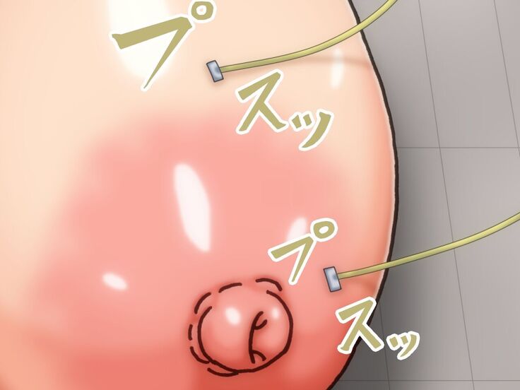 堕淫超乳改造
