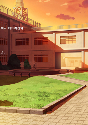 Fall into... 2 -Netorareta Osananajimi ga Ochiteiku- | 빼앗긴 소꿉친구가 타락해가는 - Page 5