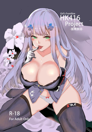 HK416 Project